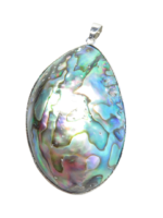 Abalone hanger