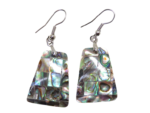 abalone oorbellen