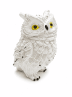 orgoniet uil